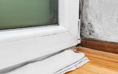 4 Signs of Mold Growth in Your Home