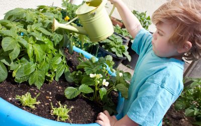 Cultivating Green Thumbs: Tips for Gardening with Kids